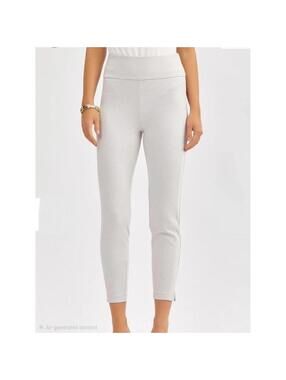 Dear Scarlett It's Magic Skinny Pants 28 NWT Pearl Grey Pull On